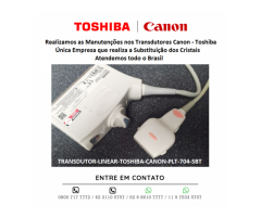 TRANSDUTORES-TOSHIBA-CANON-MANUTENÇÕES-BRASIL